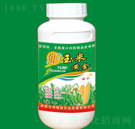 �����S��-�����