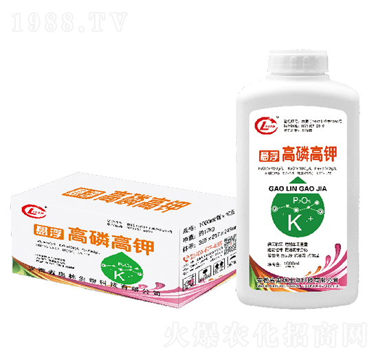 �Ҹ����׸��-�W������