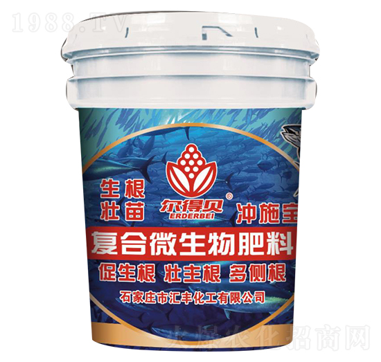 �ͺ�΢�������-����ؐ-�R�S����