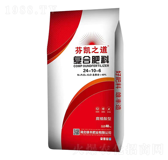 ��ֳ���͏ͺϷ���24-10-6-�҄P֮��-���S�ʘI(y��)