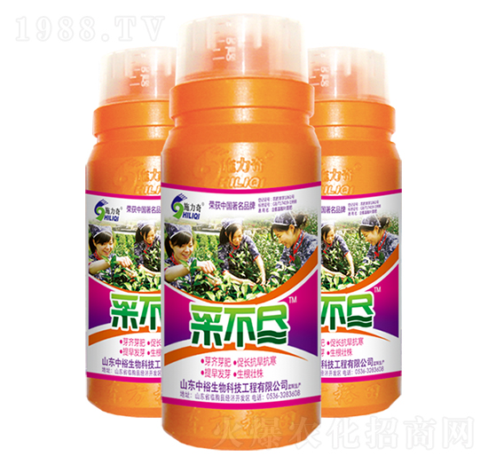 �ɲ��M-ʩ����-ԣ��߿�