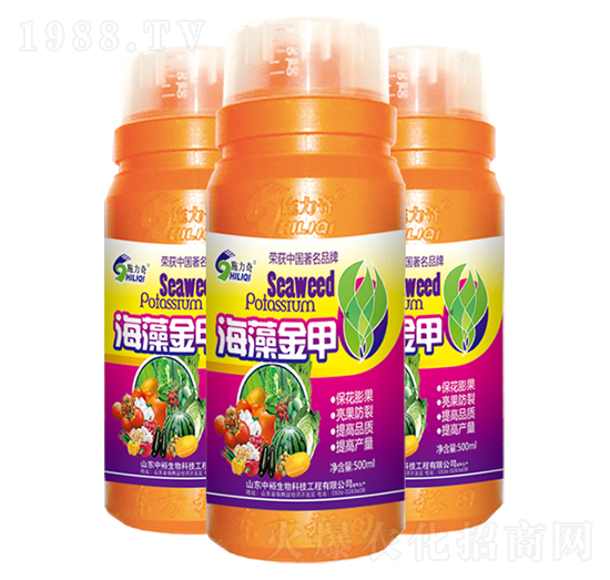 ʩ���溣����-ԣ���