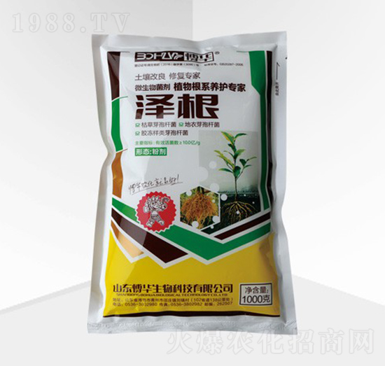 �ɸ�-���A����