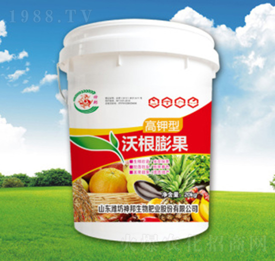 ������ָ����-�������