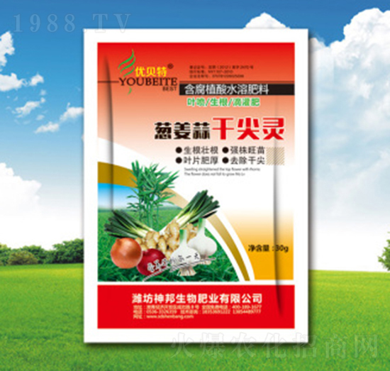 �[����ɼ��`-�������