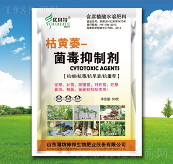 ���Sή�������Ƅ�-�������