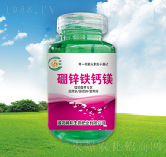 ���\�F�}�V-�������