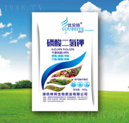 ���������~���-�������