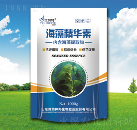 ���徫�A��-�������