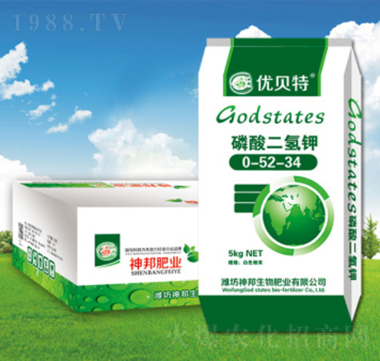 ��������0-52-34-��(y��u)ؐ��-�������