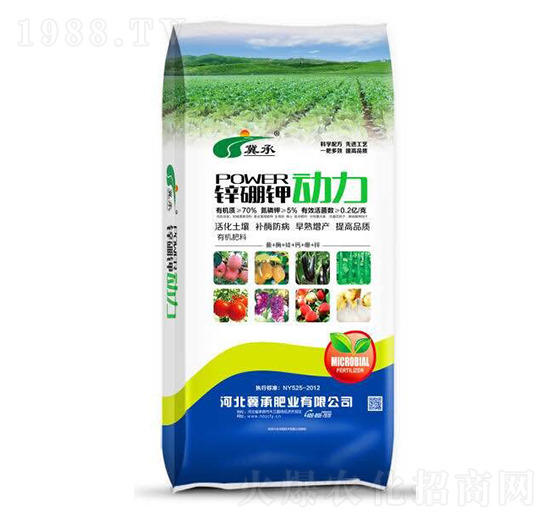 �\��⛄���-���зʘI(y��)