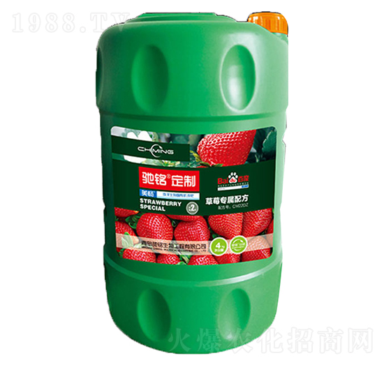 �Y㑶��Ʋ�ݮ��(zhu��n)�÷�-�Y�����