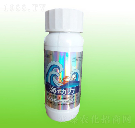 ����(d��ng)��-�f(w��n)���_(d��)