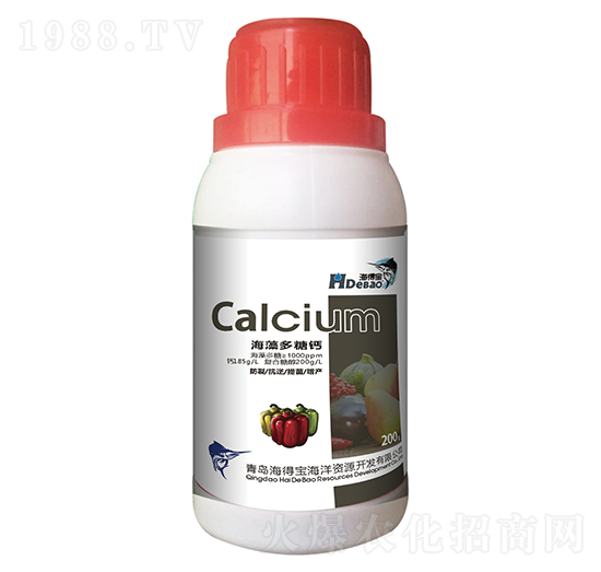 ��������}-���Ì�