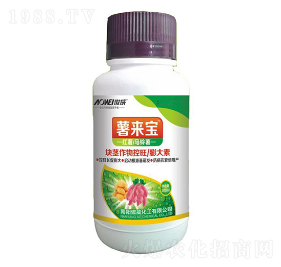 �K�o������������-��팚-����