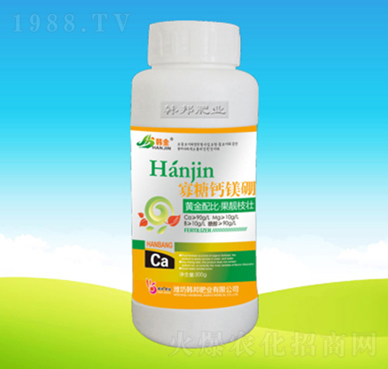 �����}�V�����w��-�n��ʘI(y��)