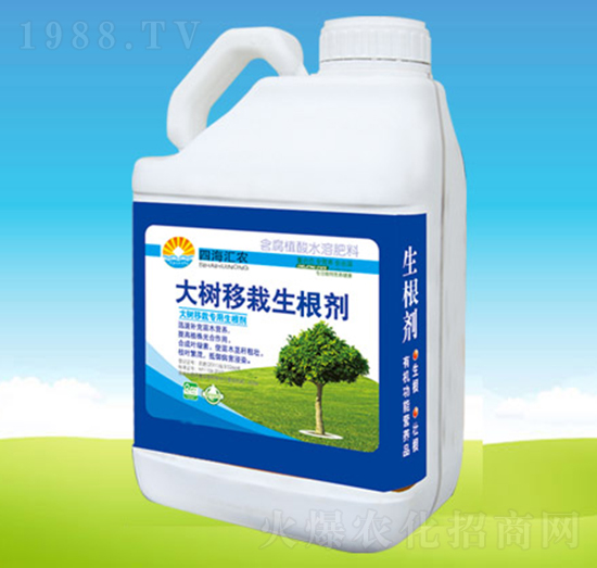 �������������-�ĺ��R�r(n��ng)