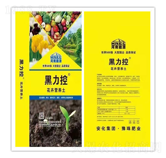 ���ܠI(y��ng)�B(y��ng)��-������-ԥ��ʘI(y��)