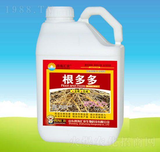 �����-�ĺ��R�r