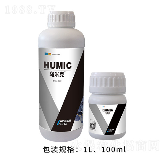 ���׿�-�͂��_