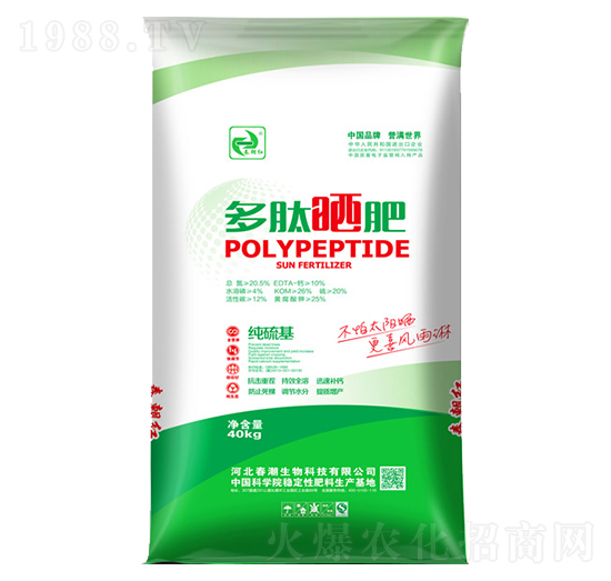 ���ĕ��-�����t