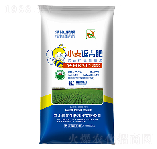 С�������-�����t