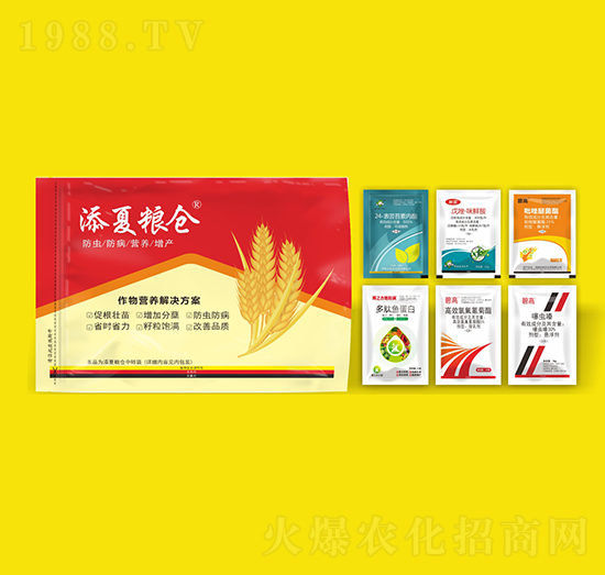 作物營(yíng)養(yǎng)解決方案-添夏糧倉(cāng)-豐收樂(lè)