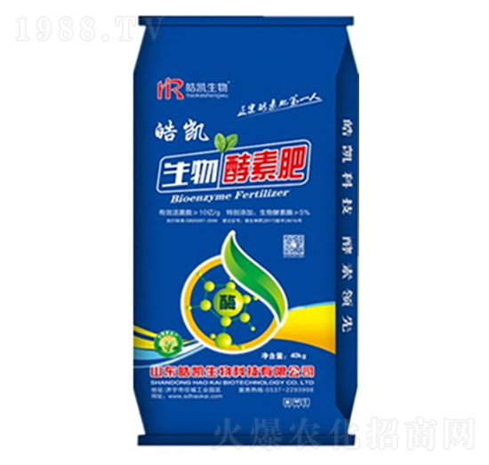 ������ط�-�P����