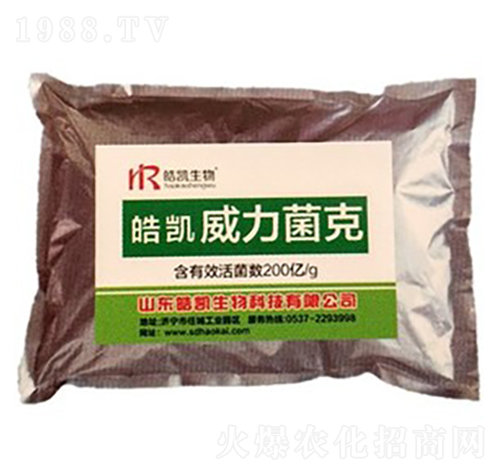 �P��������-�P����