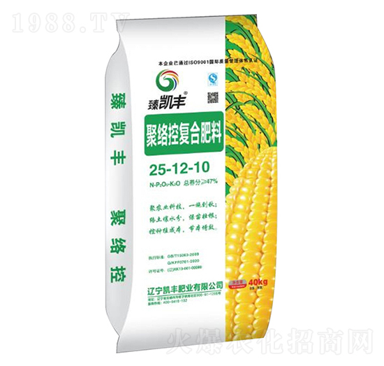 �۽j�؏ͺϷ���25-12-10-��P�S-�P�S�ʘI(y��)