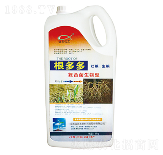 �ͺϾ�������-�����-�h�|����