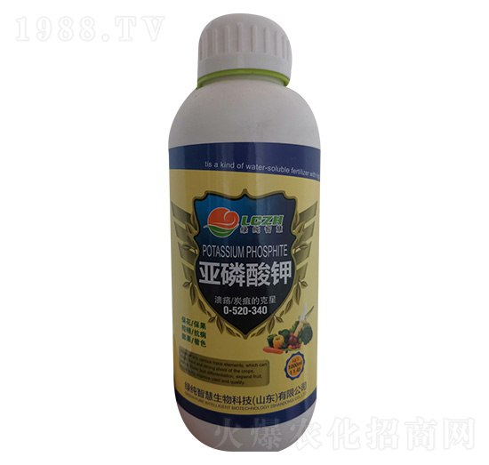 �������-�P����