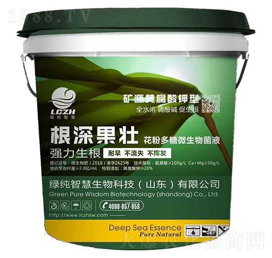 ������ѣ�Ͱ��-�P����