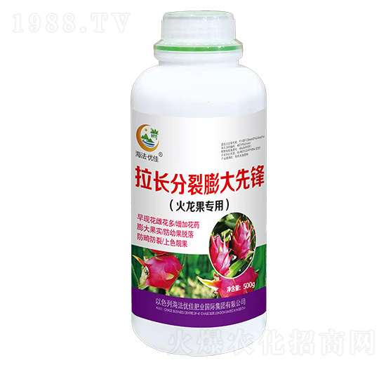 火龍果專(zhuān)用拉長(zhǎng)分裂膨大先鋒-海法優(yōu)佳