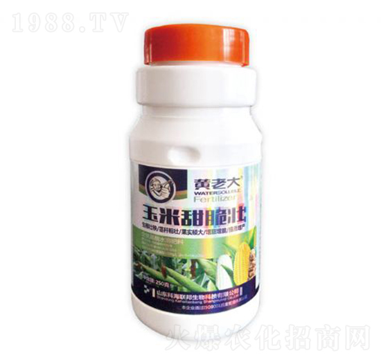 ���������-�S�ϴ�-�ƺ���