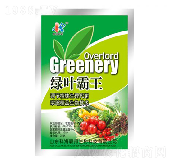 �G�~����-�ƺ���