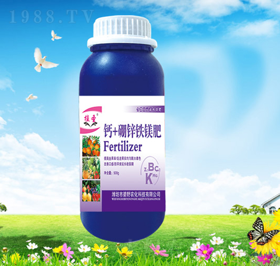 �}+���\�F�V��-ֲʥ-��Ұ�r��