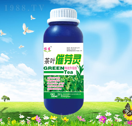 ���~��ѿ�`-��Ұ�r��