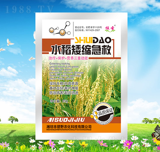 ˮ�����s����-ֲʥ-��Ұ�r��