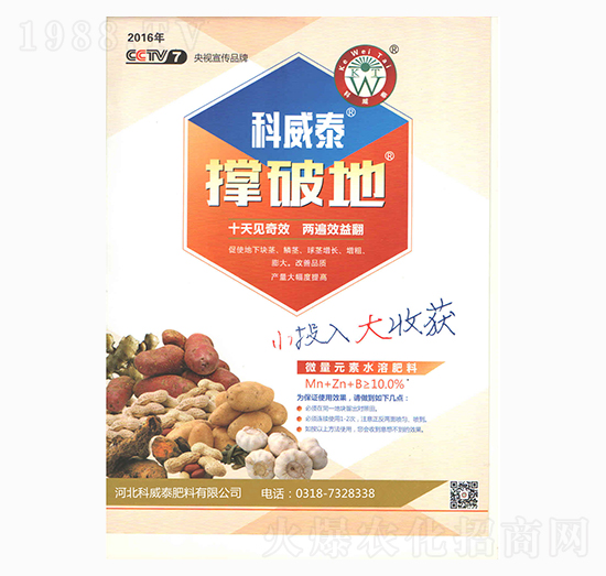 ���Ƶ�-����̩