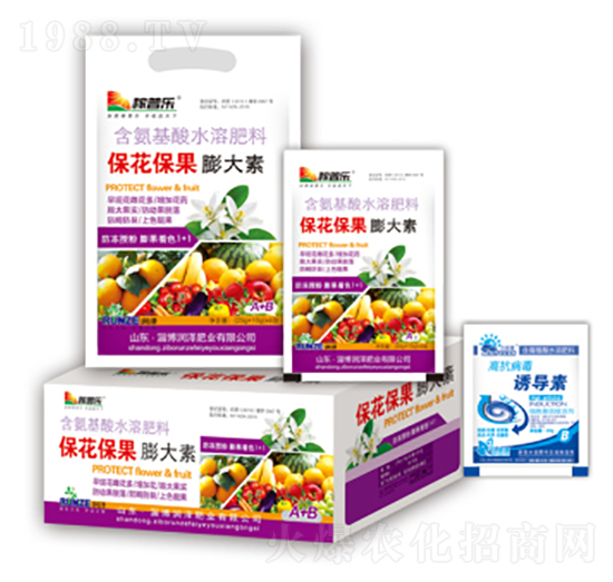 �������������-��(r��n)�ɷʘI(y��)