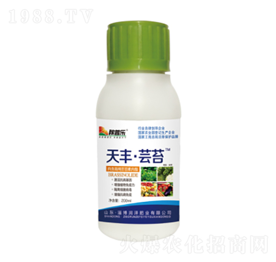 ���S���|̦-���՘�-��(r��n)�ɷʘI(y��)