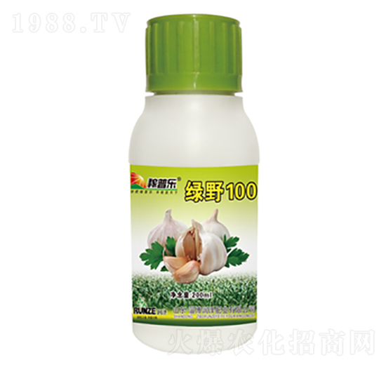 ���⌣���~���-�GҰ100-���ɷʘI(y��)