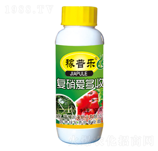 ��(f��)���۶���-���՘�-���ɷʘI(y��)