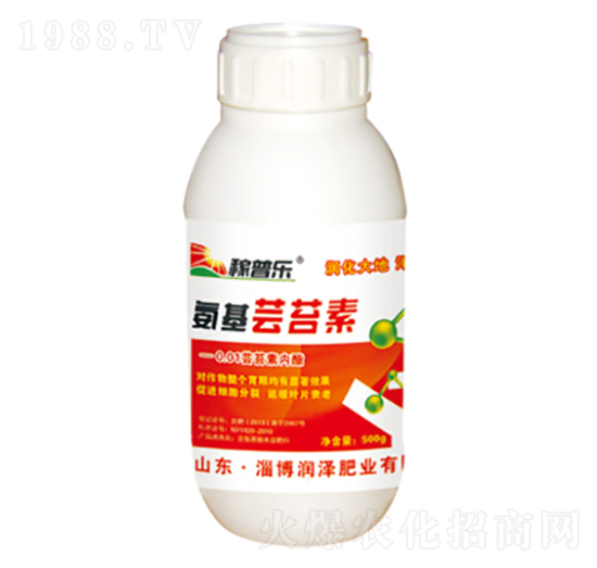 �����|̦��-���՘�(l��)-��(r��n)�ɷʘI(y��)