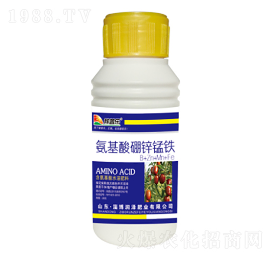 ���������\�i�F-���՘�(l��)-��(r��n)�ɷʘI(y��)