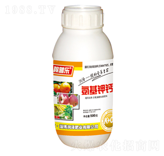 ������}-���՘�-���ɷʘI(y��)