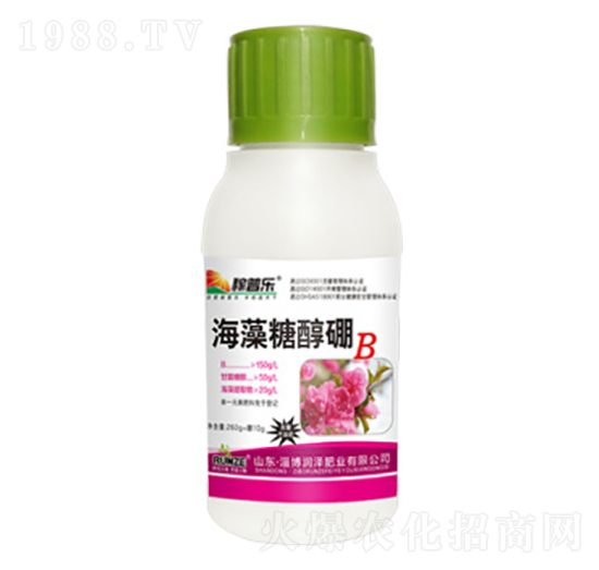 �����Ǵ���-���՘�-���ɷʘI(y��)