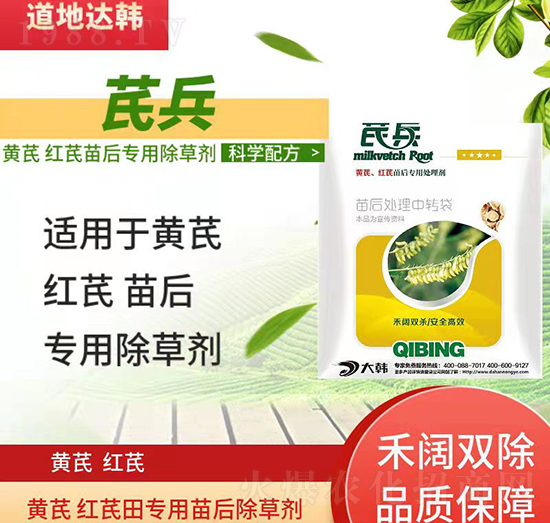 黃芪紅芪除草劑-黃芪紅芪苗后-黃芪紅芪專用-芪兵