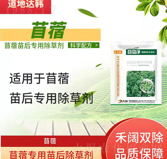 ��ޣ����݄�-��ޣ���-��ޣ����-���n